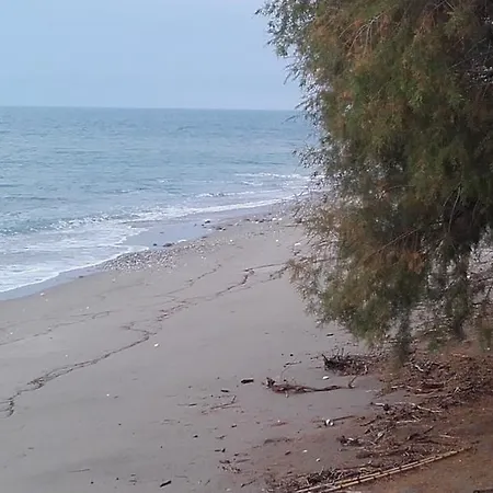 Avia Beachfront